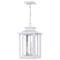 Quoizel Wakefield Outdoor Hanging Lantern WKF1911W - alternate 3